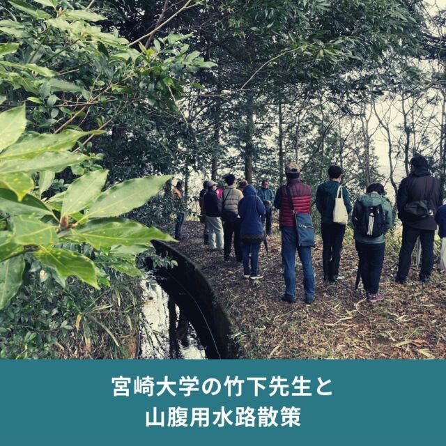 棚田キャンプをさせていただいている尾戸の口棚田を学ぶ企画！

宮崎大学の農業水利専門の竹下伸一先生をお招きして、尾戸の口棚田の山腹用水路と棚田を巡って解説いただきました！ブラタモリの案内人も務めた専門家です💡
@ran_takeshita_natsuki 

阿蘇の噴火による火砕流でできた大地、江戸時代から整備が始まった山腹用水路のすごさ、それらを活かした棚田を続ける地域の方々。

高千穂ならではの自然と文化を学んでいただきました。

お昼は、そこでできたお米と郷土料理・かっぽ鶏を味わっていただきました！
歩いて学んでワイワイと話す時間は盛り上がりますね！

年4回、春夏秋冬で山腹用水路と尾戸の口棚田を見てもらえたらと思っていますので、次回開催をお楽しみに！

#宮崎大学 #竹下伸一 #竹下先生 #ブラタモリ #尾戸の口棚田 #山腹用水路 #かっぽ鶏 

＝＝＝＝＝＝＝＝＝＝
◆「タカチホ棚田キャンプ」とは
　高千穂の棚田と絶景を楽しめるキャンプ場。サブスク式の #会員制キャンプ場で、期間中利用自由
◆”ここだけ”3つのメリット
　#地域との交流
　#薪使い放題
　#少数利用し放題
◆サイト
　[https://tanacam.kntf.jp/]

＝＝＝＝＝＝＝＝＝＝
#TrailHead #トレイルヘッド #棚田キャンプ #キャンプ場 #棚田 #ユネスコエコパーク #エコパーク #GIAHS #世界農業遺産高千穂郷椎葉山地域 #高千穂町 #大平 #takachiho #九州 #静かなキャンプ場 #絶景キャンプ場 #薪使いたい放題 #薪無料 #サブスクリプションキャンプ場 #サブスクキャンプ場
