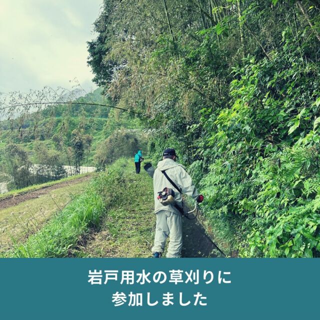 尾戸の口棚田へ流れる山腹用水路「岩戸用水」の草刈り作業があったので、参加してきました！

高千穂は、山と溪谷の町。田んぼなどに必要な水は渓谷の下に流れているので、くみ上げることが難しい。そのため、江戸～明治にかけて、川の上流部から山腹に専用の用水路を通して、各地区に水が流れる仕組みを造成（当時の方々すごい…！！）。
その山腹用水路を維持するために、水路の清掃や通り道の草刈りなどなど地域での活動（役目）がたくさん！

いつも棚田キャンプでお世話になっている尾戸の口棚田のところだけでもお手伝いできたらと思い、草刈り機を購入し参加させていただきました！

慣れない作業で翌日筋肉痛になりましたが、地域の方々がこうした活動をされているからこそ、高千穂の風景が続いているのを改めて実感しました。

次回は秋に開催予定とのことなので、引き続き参加させていただきます。

＝＝＝＝＝＝＝＝＝＝
◆「タカチホ棚田キャンプ」とは
　高千穂の棚田と絶景を楽しめるキャンプ場。サブスク式の #会員制キャンプ場で、期間中利用自由
◆”ここだけ”3つのメリット
　#地域との交流
　#薪使い放題
　#少数利用し放題
◆サイト
　https://tanacam.kntf.jp/
＝＝＝＝＝＝＝＝＝＝
#TrailHead #トレイルヘッド #棚田キャンプ #キャンプ場 #尾戸の口棚田  #棚田 #ユネスコエコパーク #エコパーク #GIAHS #世界農業遺産高千穂郷椎葉山地域 #高千穂町 #大平 #takachiho #九州 #kyushu #静かなキャンプ場 #絶景キャンプ場 #薪使いたい放題 #薪無料 #サブスクリプションキャンプ場 #サブスクキャンプ場
